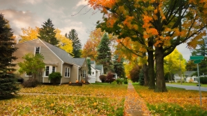 Outdoor Home Maintenance Checklist for the Fall