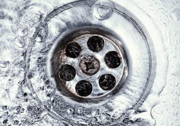 Drain Cleaning in Mount Clemens, MI | Top-Rated Plumbers  - drain-2